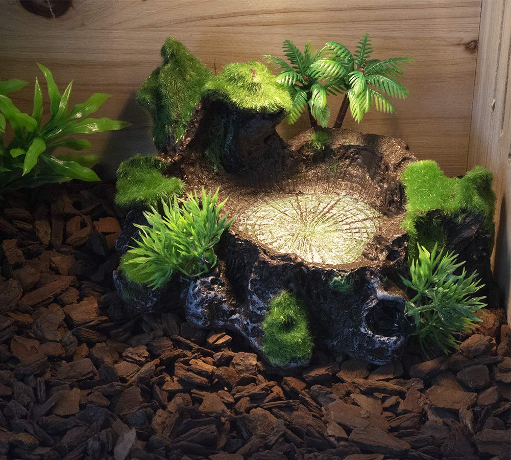 Кормление рептилий OMEM Кормление черепах Кормление амфибий Рис Имитация мха Разведение Принадлежности Тарелка, Тарелка, Контейнер, Посуда, Тарелка, Тарелка, Растение,