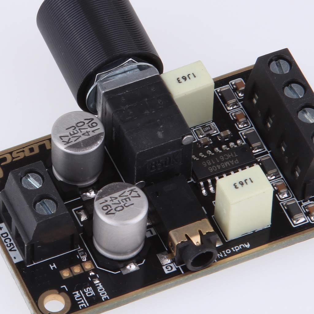 KESOTO Dunel PA6 стерео усилитель цифровой усилитель мощности плата