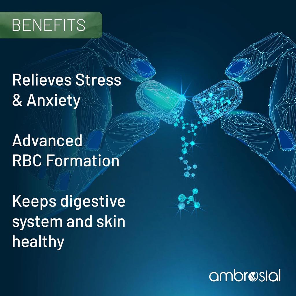 AMBROSIAL Комплекс витаминов группы B с холином высокой эффективности для поддержки формирования красных кровяных телец и выработки энергии (Упаковка 2-120 капсул)
