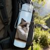 1PC Cat Using Vintage Telephone 750ml Color Plastic Sports Water Bottle Leakproof Flip Straw Lid Suitable for Sports Office Home Use