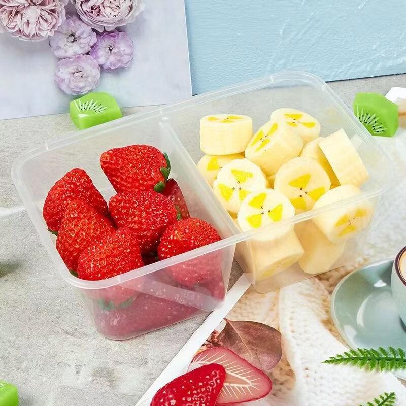 ZISIZ Disposable 2-Compartment Rectangular Lunch Boxes