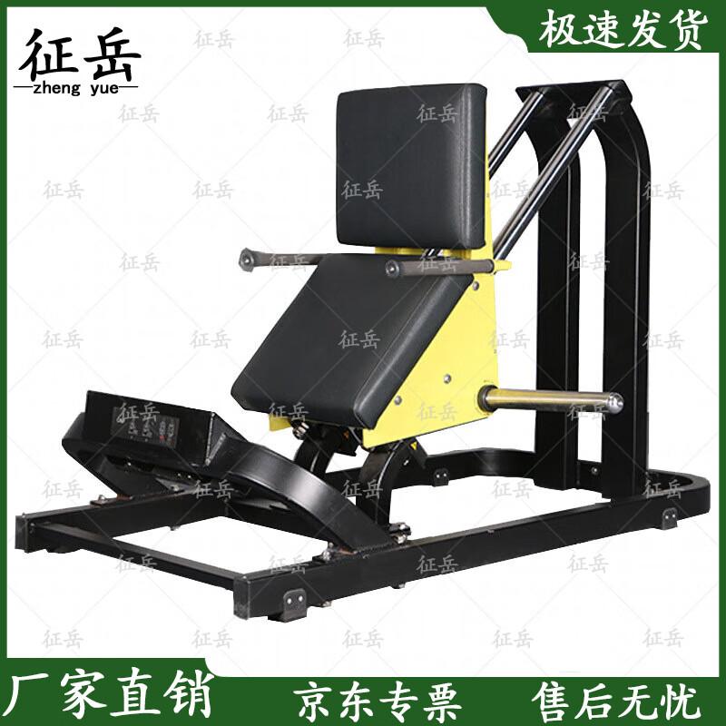 Zhengyue Commercial Strength Training Equipment