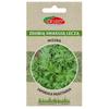 Mizuna Japanese Fresh Vegetable Seeds PREMIUM 2g Graspapier