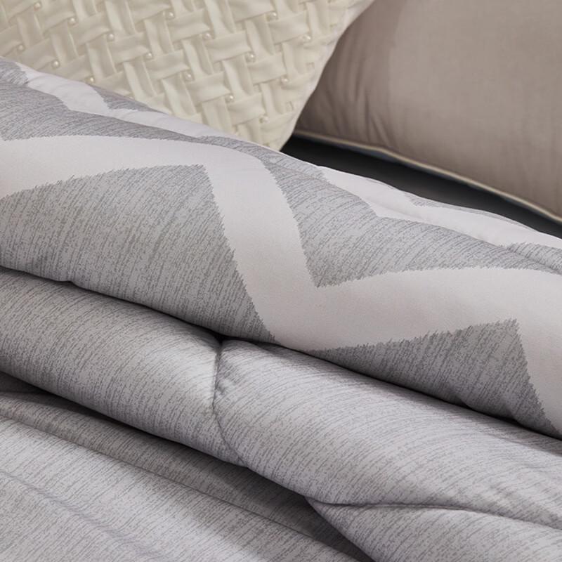 Mercury Elegant Negative Ion Antibacterial All-Season Quilt