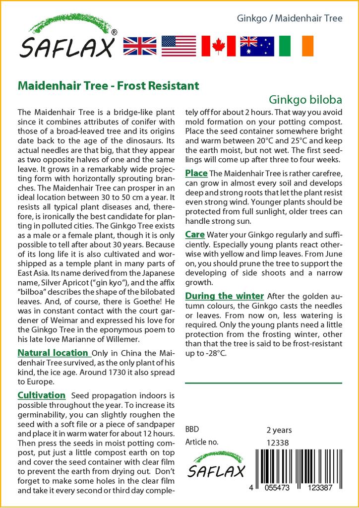 SAFLAX Авичий волос - 4 семени - Гинкго двулопастный