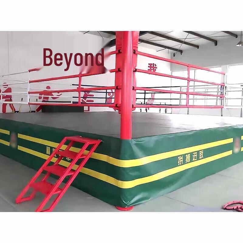 Professional Boxing & MMA Training Ring