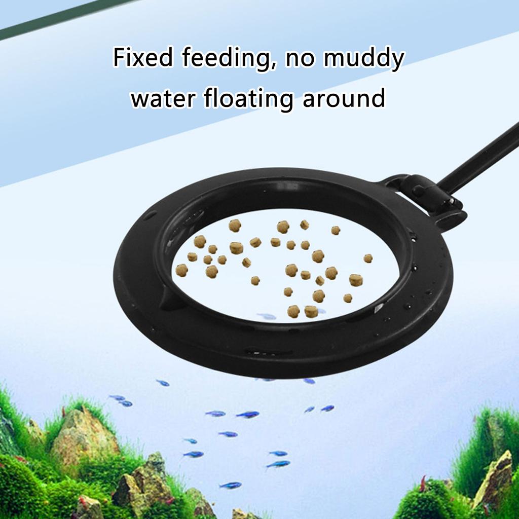 Акриловая кормушка для креветок, набор трубчатых тарелок, высокопрозрачные акриловые аквариумные кормушки для домашних аквариумов