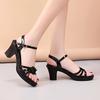 Chunky Heeled Sandals - Thick and Statement-Making Heel, Seductive Open Toe, Adjustable Ankle Strap, Ultra-Casual Comfort - Designed for Women
