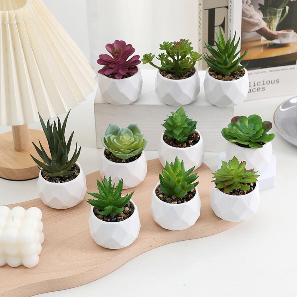 Evergreen Artificial Succulent Cactus Small Potted Plants Mini Bonsai Plants  Home