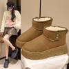 Thick-soled Snow Boots Women's Winter New Cotton Shoes Warm Women's Shoes Piled Thickened Short Boots Women