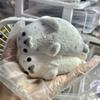 Мяу Таба Сквиши Кавайный Большой Тюлень Морской Лев Игрушка-Антистресс Милый Анимация Нежное Восстановление Капибара Плюшенок Цыпленок Подарок на День Рождения Дети