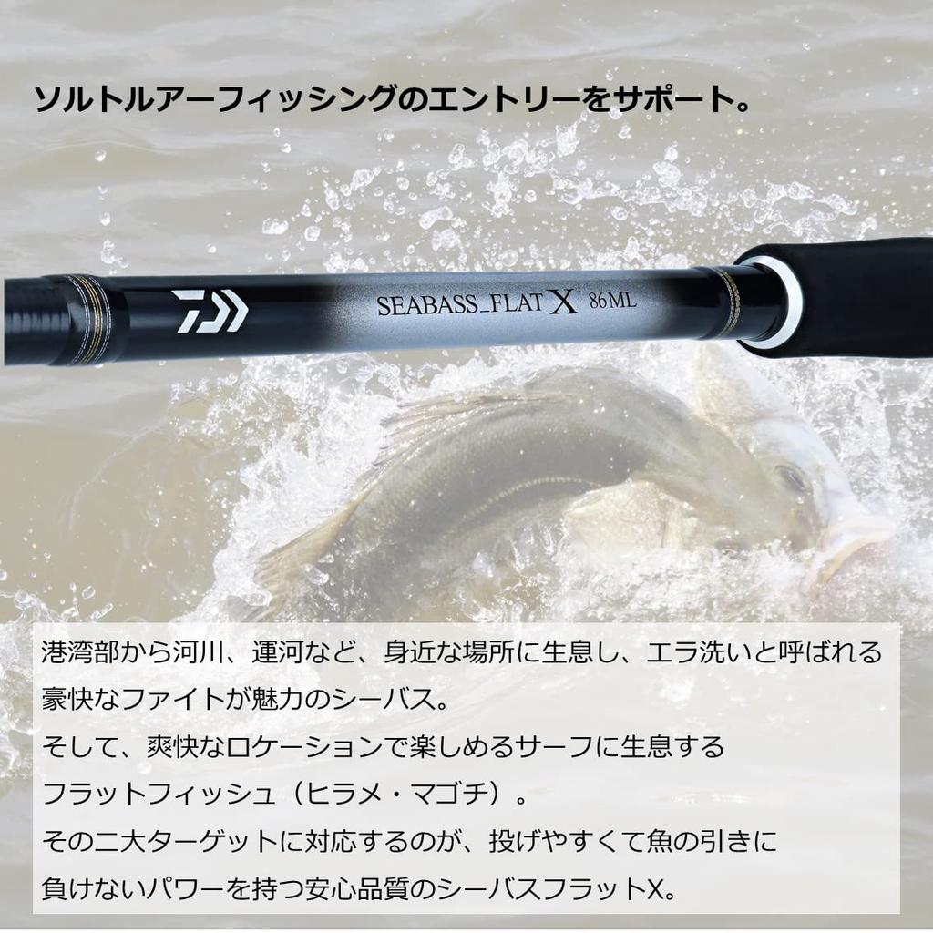 DAIWA SEABASS FLAT X 100M fishing rod