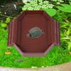 Aquarium Decoration for Tortoise And Gecko with Water Bowl