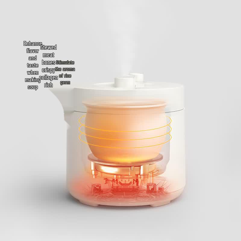 Olayks Smart Electric Pressure Cooker CN plug (adapter included)
