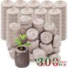 300-20Pcs Seed Starter Blocks Coconut Coir Fiber Nursery Tray Compressed Soil For Plant Cutting Vegetable Flower Herb Growing
