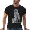 Great Gray Owl Stink Eye T-Shirt T Shirts for Man Pack Cotton T Shirt Man Luxury T Shirt Man Pl