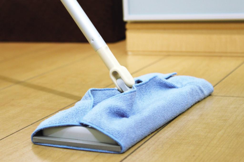 Cleaning God Floor Cleaning Set of 2 Cloth,