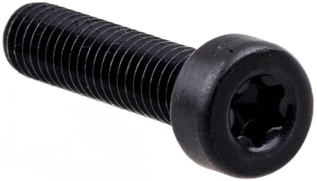 Śruba K960 (Internal Torx Socket Head Cap M 6 X 25