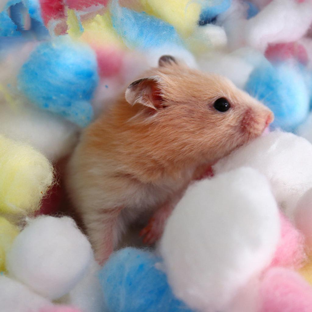 Hamster Cotton Balls Filler Colorful Natural Cotton Warm Bedding for Small Animals House