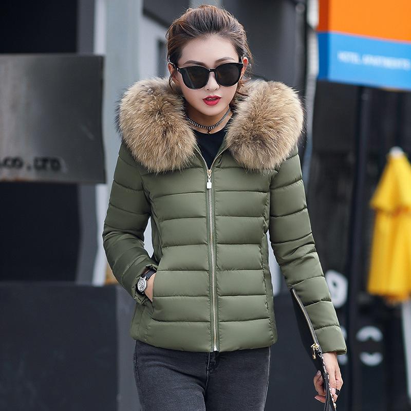 cotton-padded clothes, winter Korean version of the new women's cotton-padded clothes, women's short slim-fitting cotton-padded jackets, down cotton