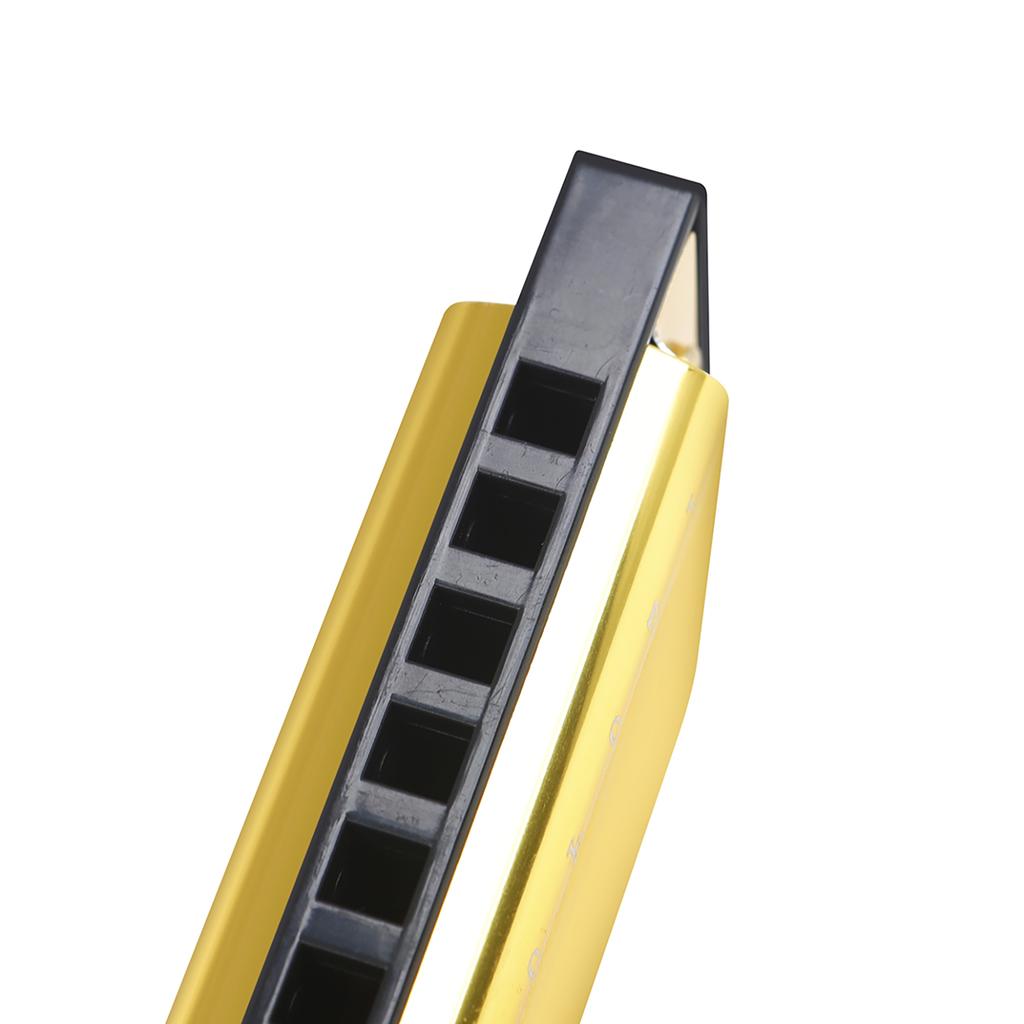 IRIN 10-луночная губная гармошка тональность C 20 тонов музыкальный подарок с футляром для хранения для начинающего студента