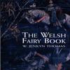 The Welsh Fairy Book by W. Jenkyn Thomas Paperback Book 9780486417110