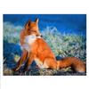 Полный дрель квадратный круглый 5d diy алмазная живопись лиса животное Алмазная вышивка живопись