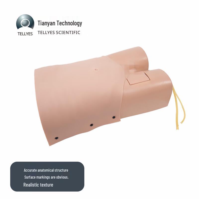 TELLYES Abdominal and Femoral Vein Puncture Training Model