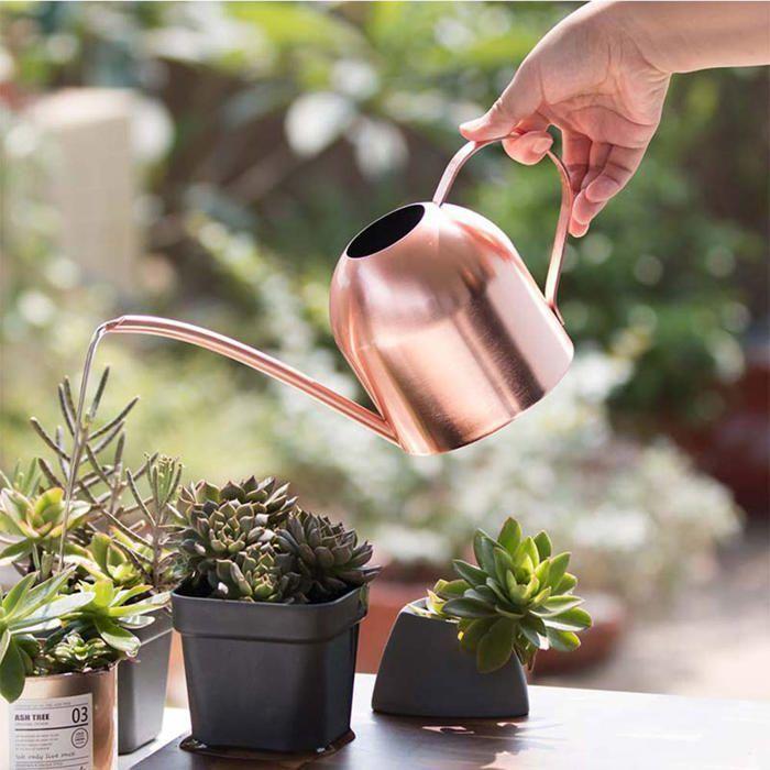 Arrosoir inox 0,9 L (30 oz) - Bec long, anti-corrosion, pour plantes d'intérieur