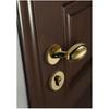 Golden Zinc Alloy Bedroom Door Lock Bathroom Lock Magnetic Suction Mute Room Door Handle Indoor Door Lock Split Door Handle Lock