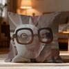 Popular R-RRabbids Invasion Cushion Cover Soft Washable Pillow Case Multi-Scene for Couch Bed Travel Office Use
