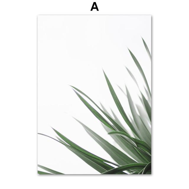 White Tulip Succulents Monstera Plant Wall Art Canvas Painting Nordic Posters And Prints Wall Pictures For Living Room Decor