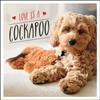 Книга Love Is a Cockapoo : A Dog-Tastic Celebration of the World's Cutest Breed