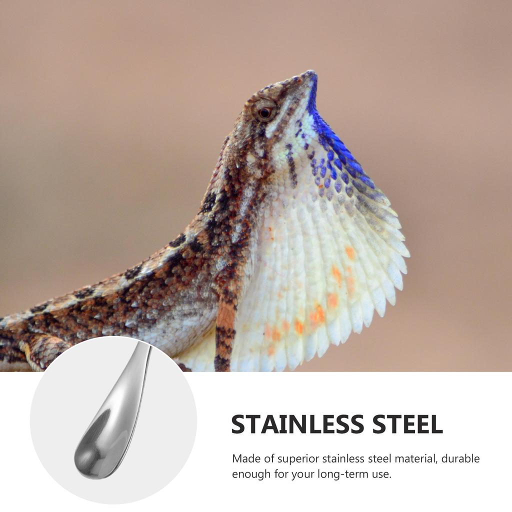2Pcs Professional Stainless Steel Pet Food Feeding Spoon for Reptiles Small Animals Lizards Easy Grip Portable Scoop