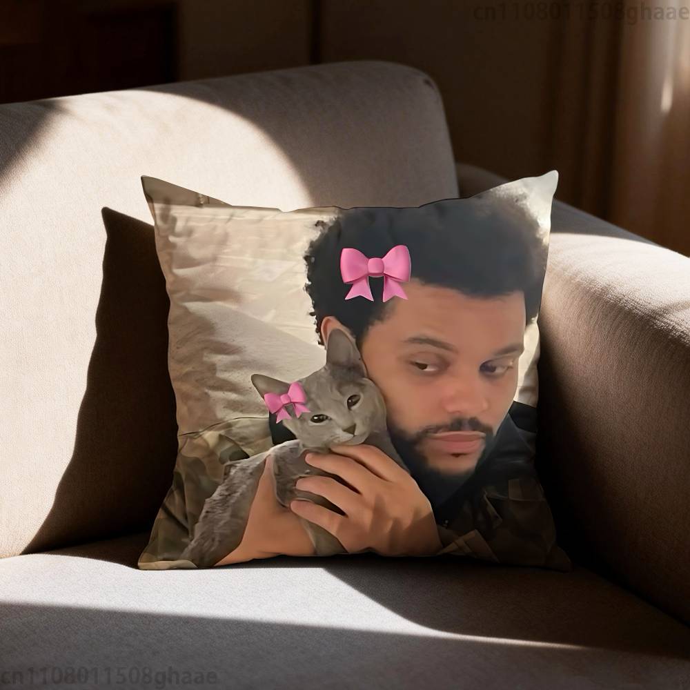 The Weeknd XO Наволочка Антипылевой клещ Наволочка Невидимая молния Шелковистый короткий плюш Чехол для диванной подушки