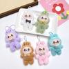 Cute Labubu Cartoon Plush Keychain Doll Accessory - Perfect for Bags, Clothes, Shoes, and Socks