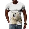 Летняя мода Polar Bear Image Мужская повседневная футболка с 3D-принтом в стиле хип-хоп с круглым вырезом и короткими рукавами