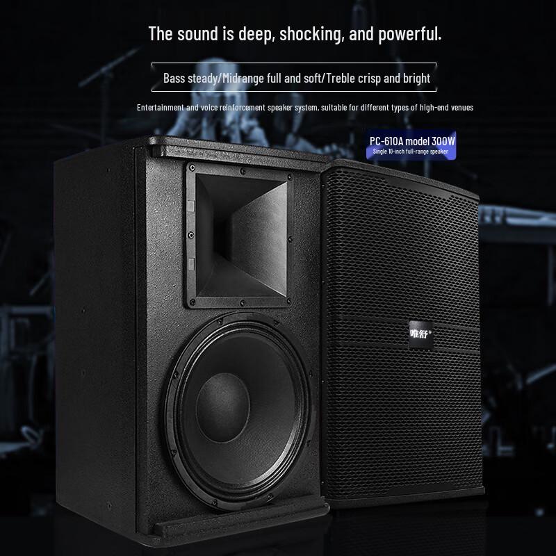 Weishu PC-610 Professional 10-inch Full-Range Audio System (CN version)