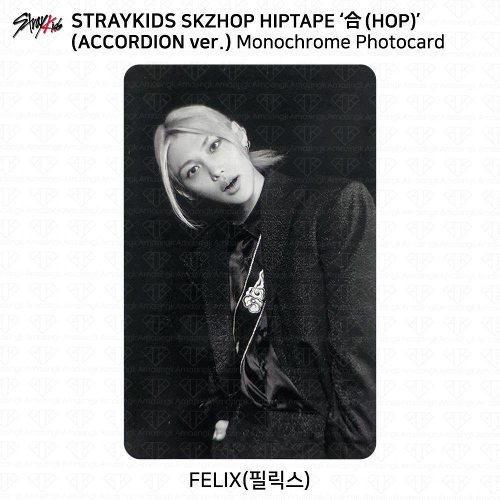 Stray Kids SKZHOP HIPTAPE HOP Аккордеон Официальная фотокарточка Unit Monochrome