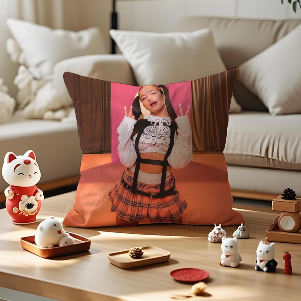 Singer EEmilia Mernes Cushion Cover Silky Short Plush Invisible Zipper Dustproof Sofa Pillow Case for Home Decor