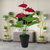 1 Pc/5 Flowers + 7 Leaves Faux Anthurium Plant Lifelike Lifelike Plastic Anthurium Artificial Plants Decoration for Stores