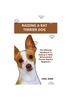 Книга Rat Terrier Dog : The Ultimate Handbook To Raising A Well-Behaved Rat Terrier Dog For Beginners