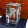 3D научная и образовательная твердокристаллическая лазерная гравировка модели зуба, украшение