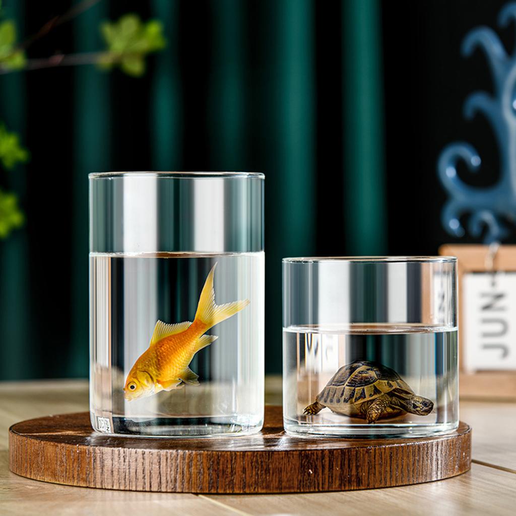 Modern Clear Glass Flower Vase Glass Cylinder Vase Floral Container Flower Vase Elegant Table Centerpiece Decoration