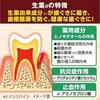 [.co.jp Exclusive] [Bulk Purchase of 2] Fresh Leaf Medicated Toothpaste to Prevent Periodontal Disease, Japanese Herbal Flavor, 100g x 2 Packs