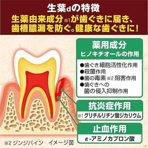 [.co.jp Exclusive] [Bulk Purchase of 2] Fresh Leaf Medicated Toothpaste to Prevent Periodontal Disease, Japanese Herbal Flavor, 100g x 2 Packs