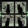 6 Pcs Halloween Large Ghost Window Clings Spooky Ghost Bats Black Cat Pumpkin Decals Removable Static Stickers for Glass Window Wall Decor