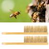 Beekeeping Bee Honey Brush Double Row Pig Bristles Beehive Tools Beekeeping Equipment