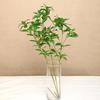 Искусственные зеленые ветки Yousheng, искусственные зеленые стебли, искусственные листья, искусственная листва, веточки, растения для домашнего офиса, свадебного декора, наполнитель для ваз