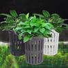 Water Plant Landscape Fish Tank Hydroponic Planting Basket Planted Tank Fish Tank Plant Cup